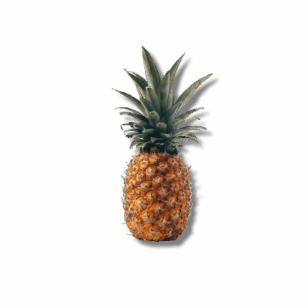 Pineapple 1pc