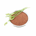 Ragi - Best Cleaned