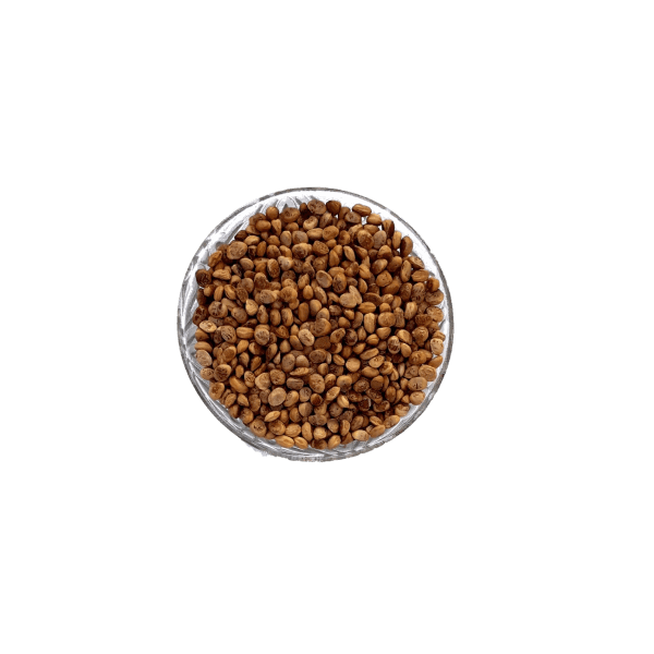 untitleddesign_1_original-1-1-1-1.png Chironji Seeds - Buchanania Lanzan 100g - Image 1
