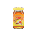 Dabur Honey 100ml