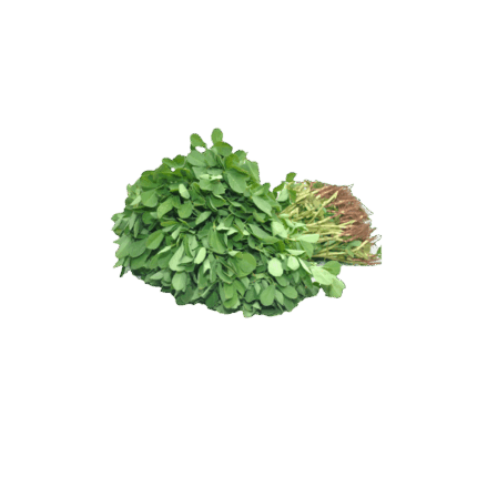 Methi Leaf's - 1Bunch