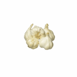 Garlic - Medium