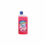 Lizol Disinfectant Surface Cleaner - Floral 500ml