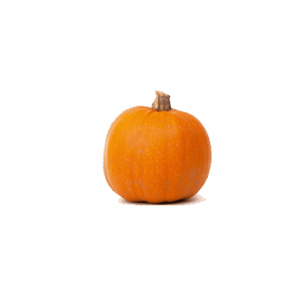 Pumpkin - Best - 1pc