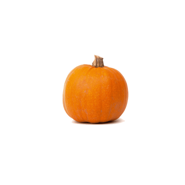 untitleddesign_1_original-7-1-1.png Pumpkin - Best - 1pc - Image 1